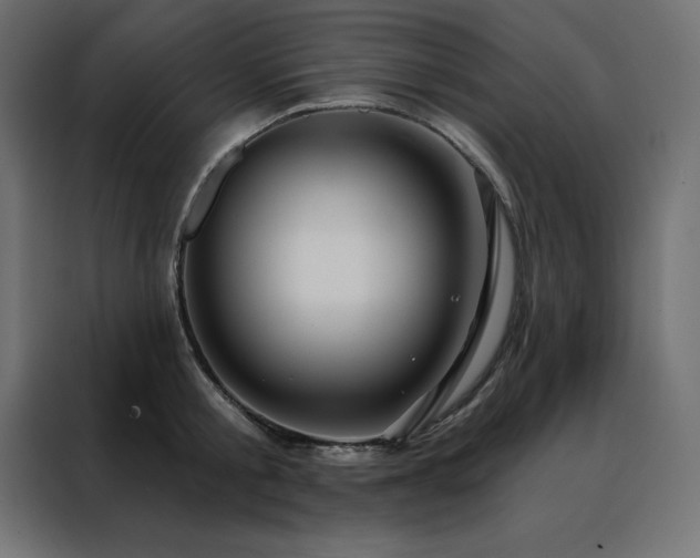 X0000088470805200705221402