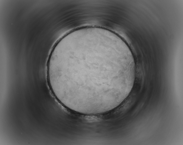 X0000088470807200705221402