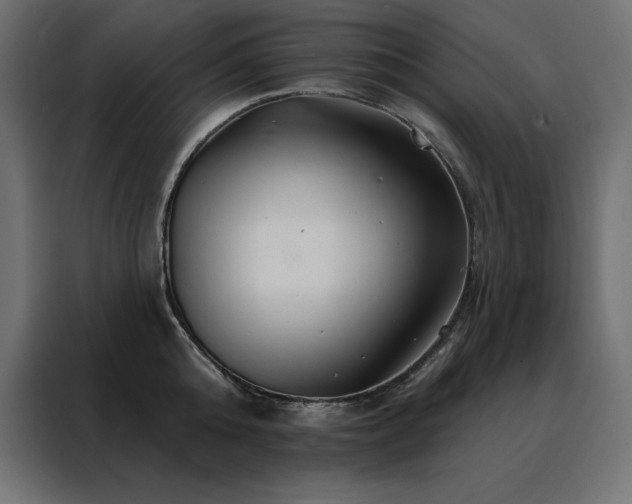 X0000088470808200705221402
