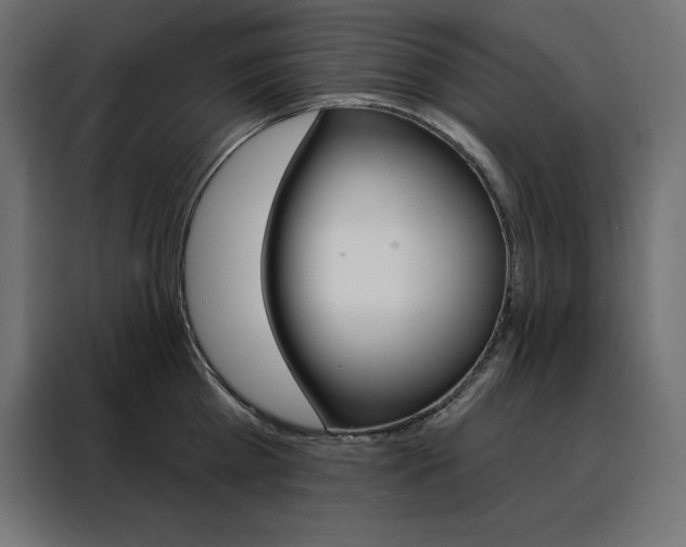 X0000088470809200705221402
