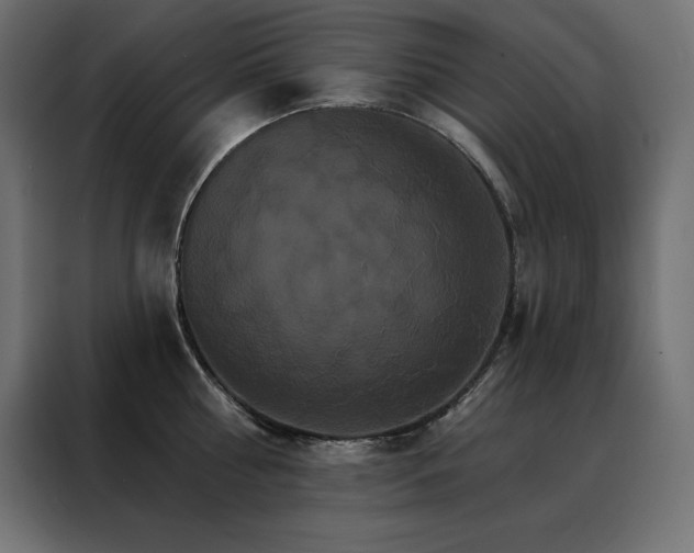 X0000088470810200705221402