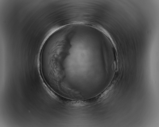 X0000088470811200705221402