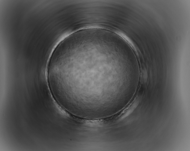 X0000088470813200705221402