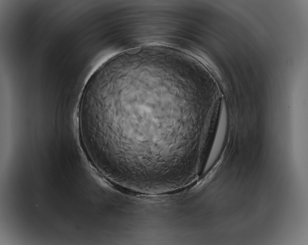 X0000088470814200705221402