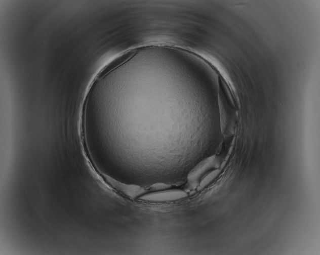 X0000088470815200705221402