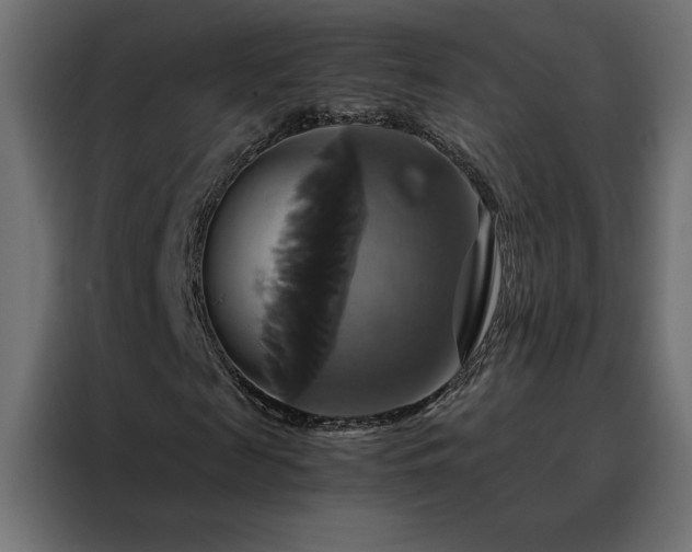 X0000088470817200705221401