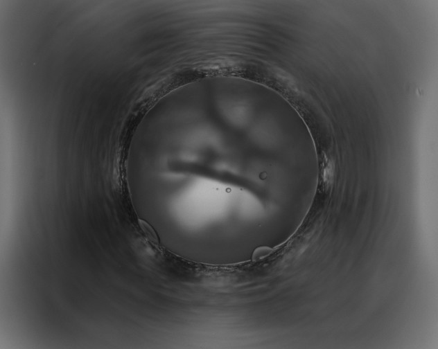 X0000088470819200705221401