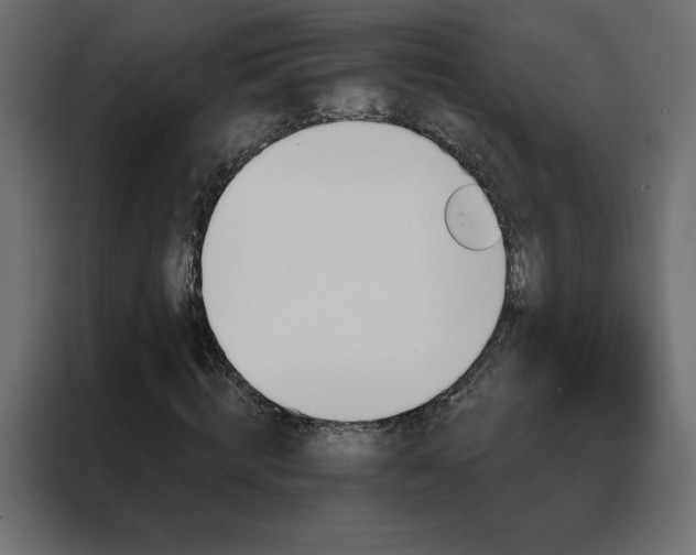 X0000088470820200705221401