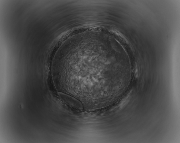 X0000088470821200705221401