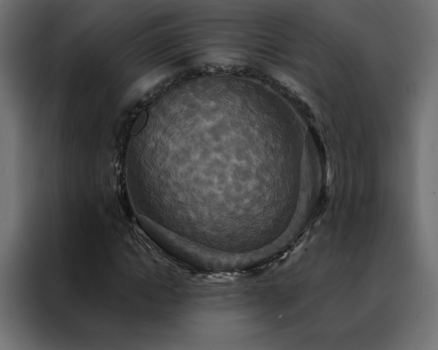 X0000088470822200705221401