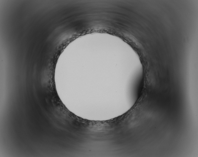 X0000088470824200705221401