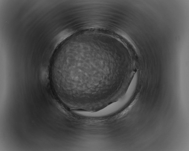 X0000088470826200705221401