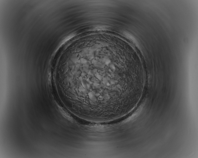 X0000088470827200705221401