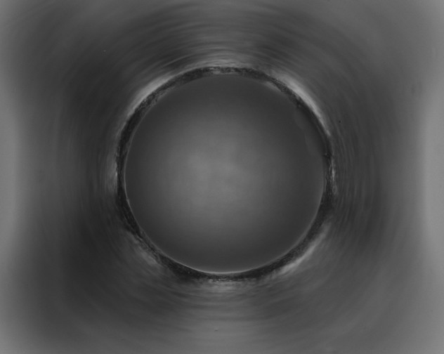 X0000088470829200705221401