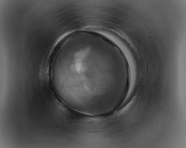 X0000088470830200705221401