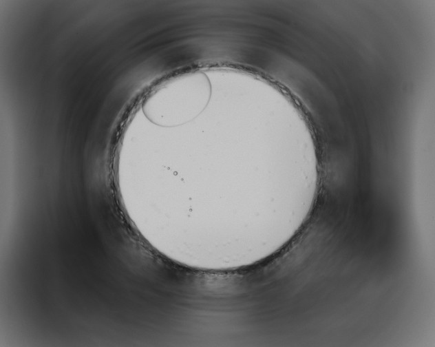 X0000088470832200705221401