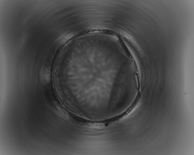 X0000088470833200705221401