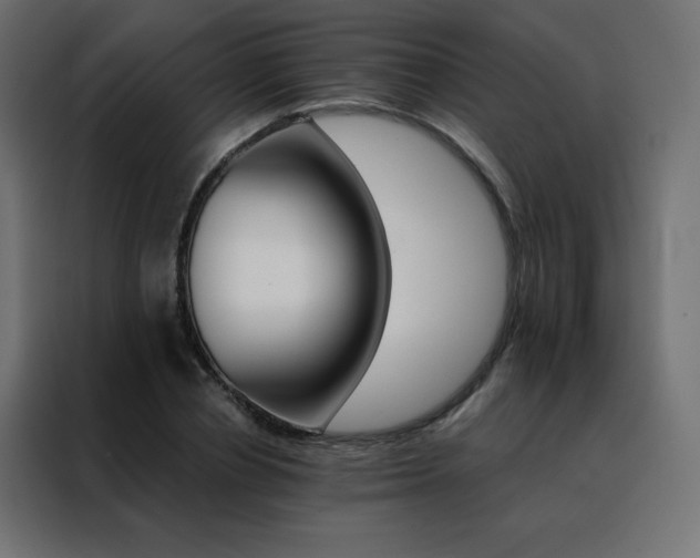 X0000088470834200705221401