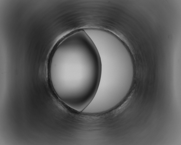 X0000088470838200705221401