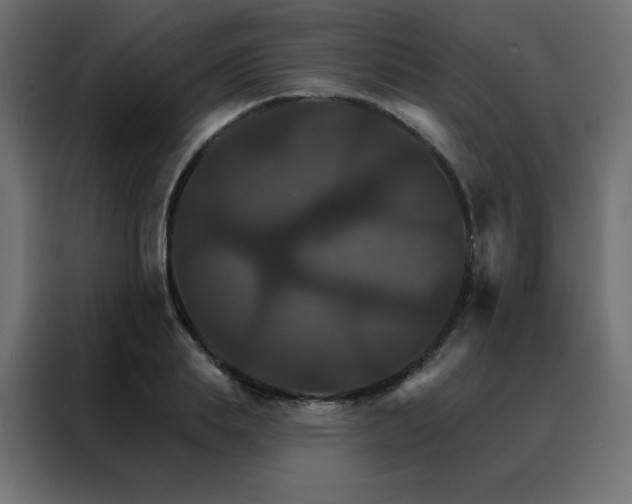 X0000088470839200705221401