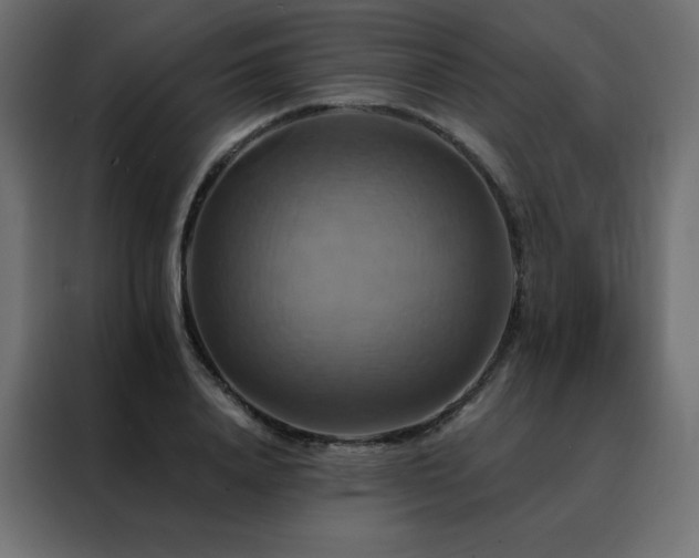 X0000088470840200705221401