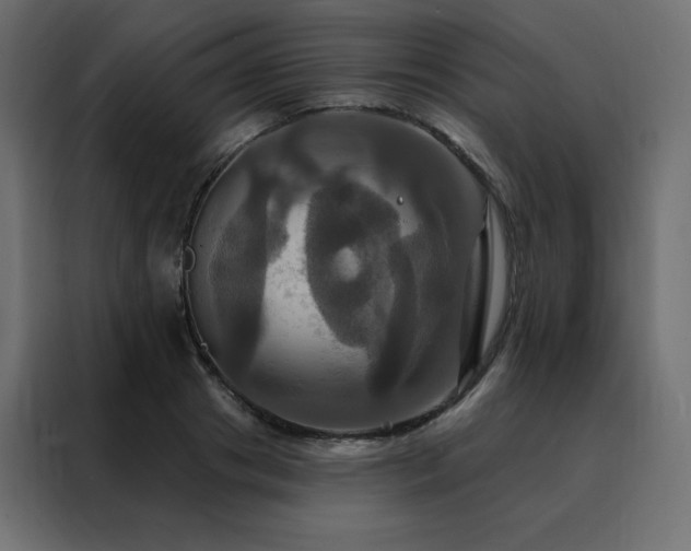 X0000088470841200705221401