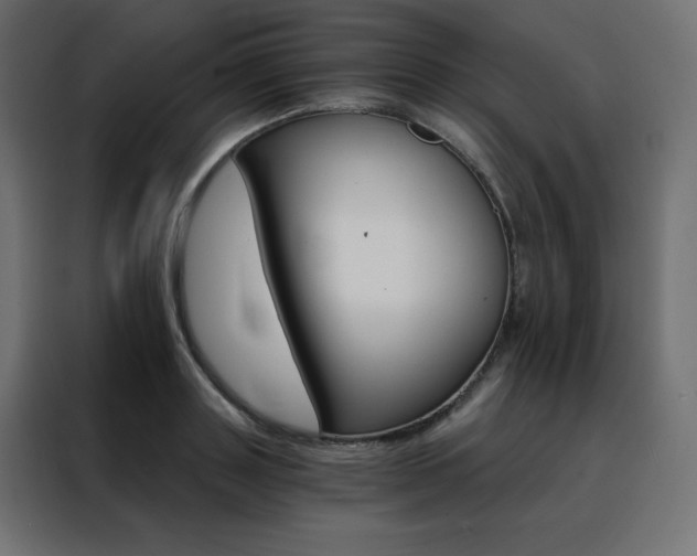 X0000088470843200705221401