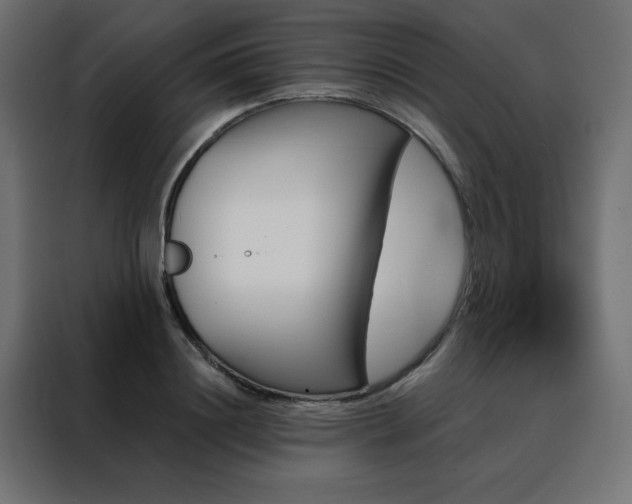 X0000088470844200705221401