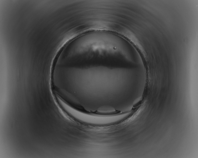 X0000088470845200705221401