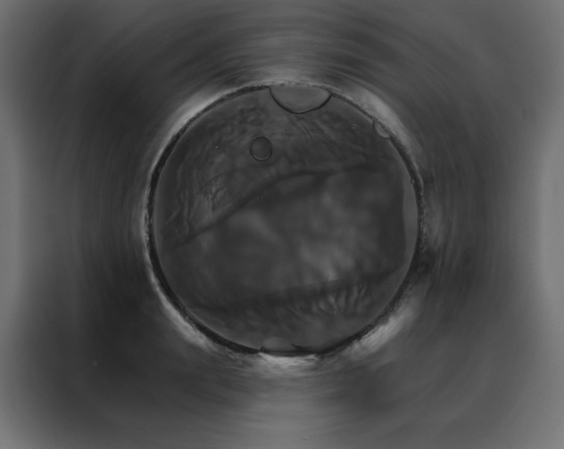 X0000088470847200705221401