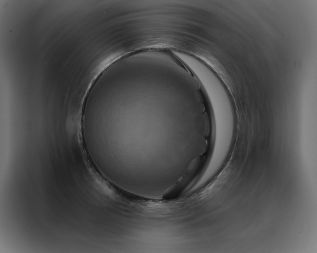 X0000088470850200705221401