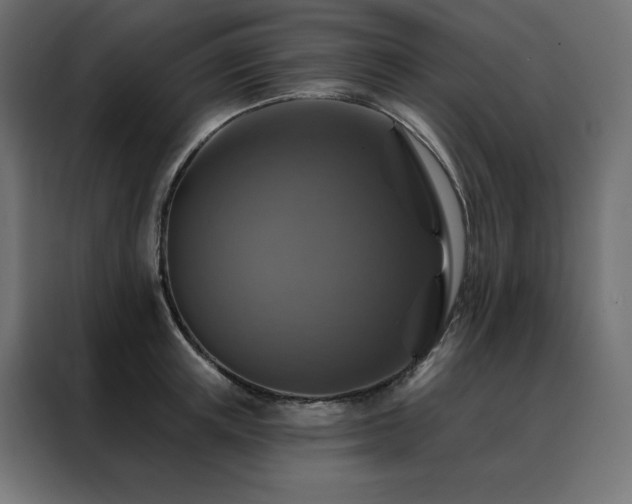 X0000088470851200705221401