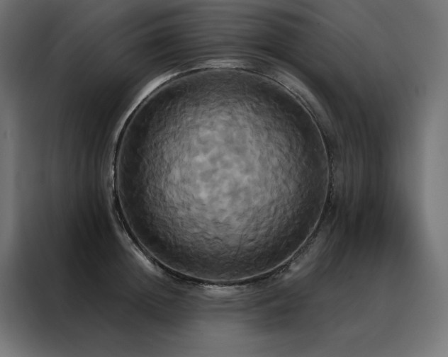 X0000088470852200705221401
