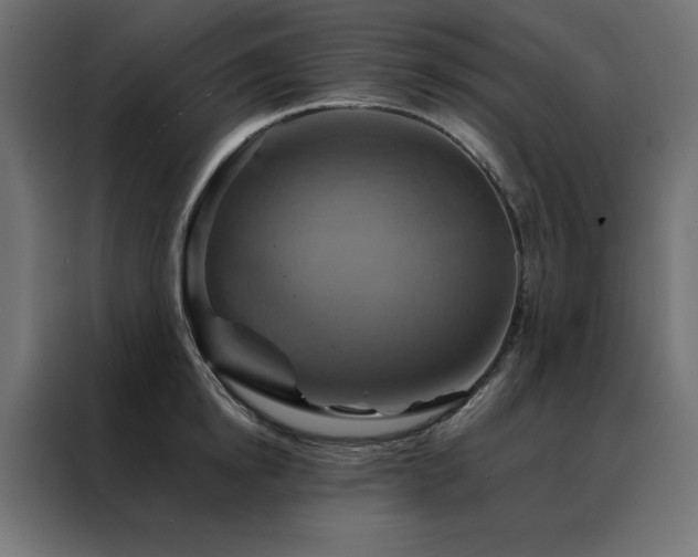 X0000088470854200705221401