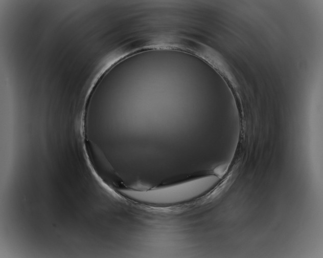 X0000088470855200705221401