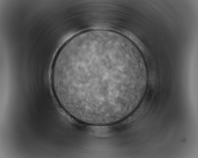 X0000088470856200705221401