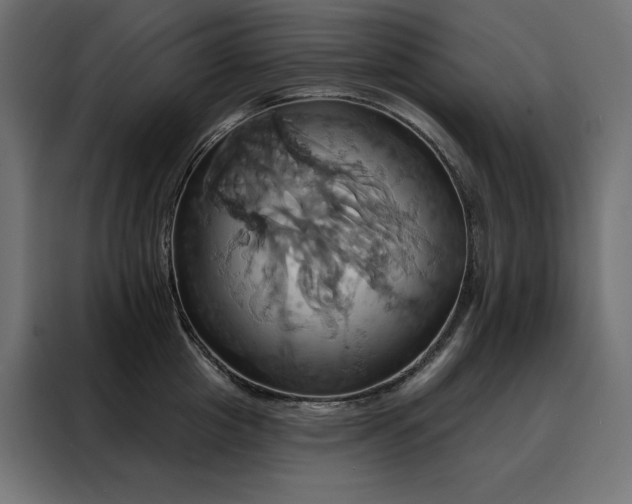 X0000088470857200705221402