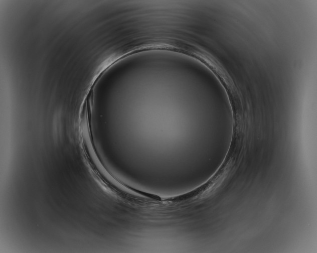 X0000088470858200705221402