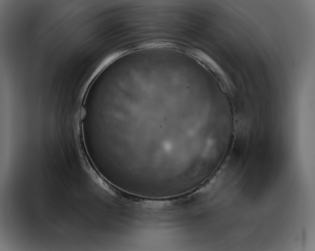 X0000088470860200705221402