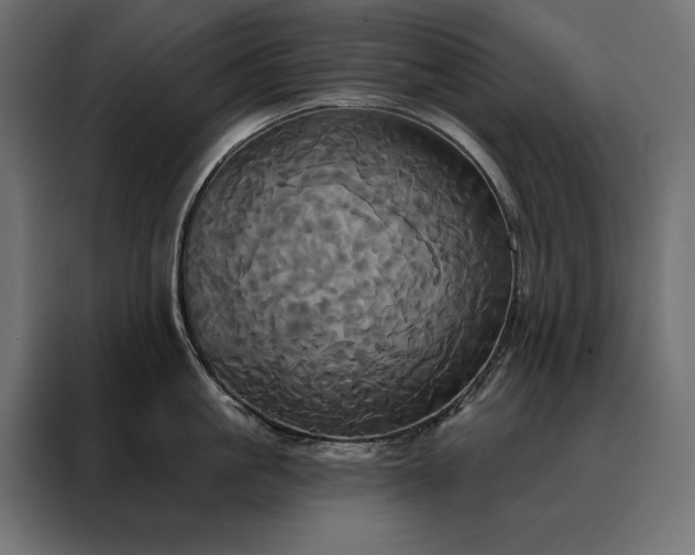 X0000088470861200705221402