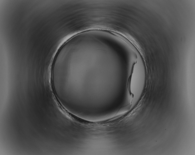 X0000088470862200705221402
