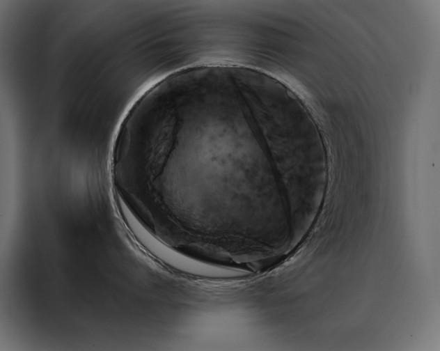 X0000088470864200705221402