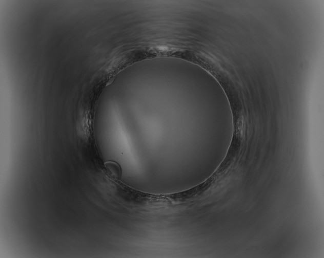 X0000088470866200705221401