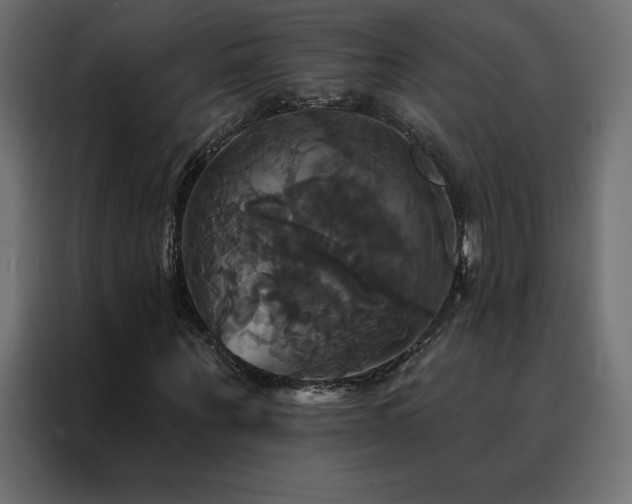 X0000088470867200705221401