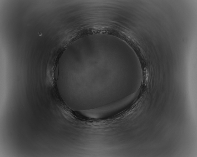 X0000088470868200705221401