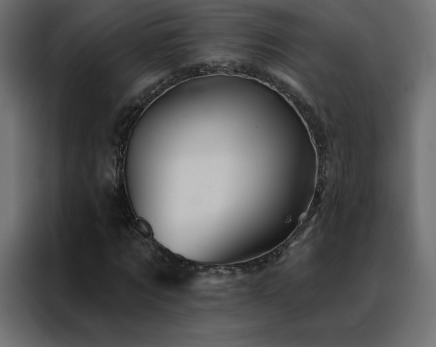 X0000088470869200705221401