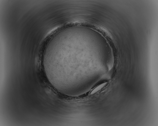 X0000088470872200705221401