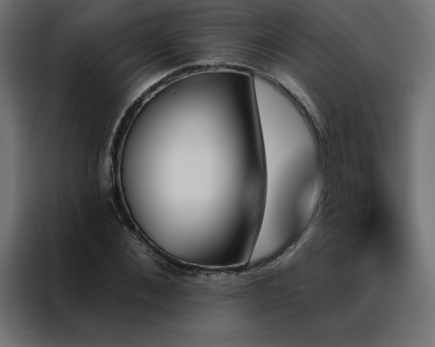 X0000088470876200705221401