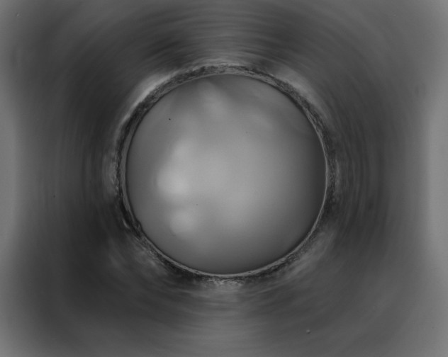 X0000088470878200705221401
