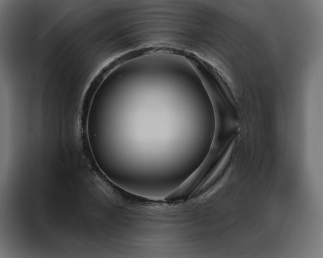 X0000088470880200705221401